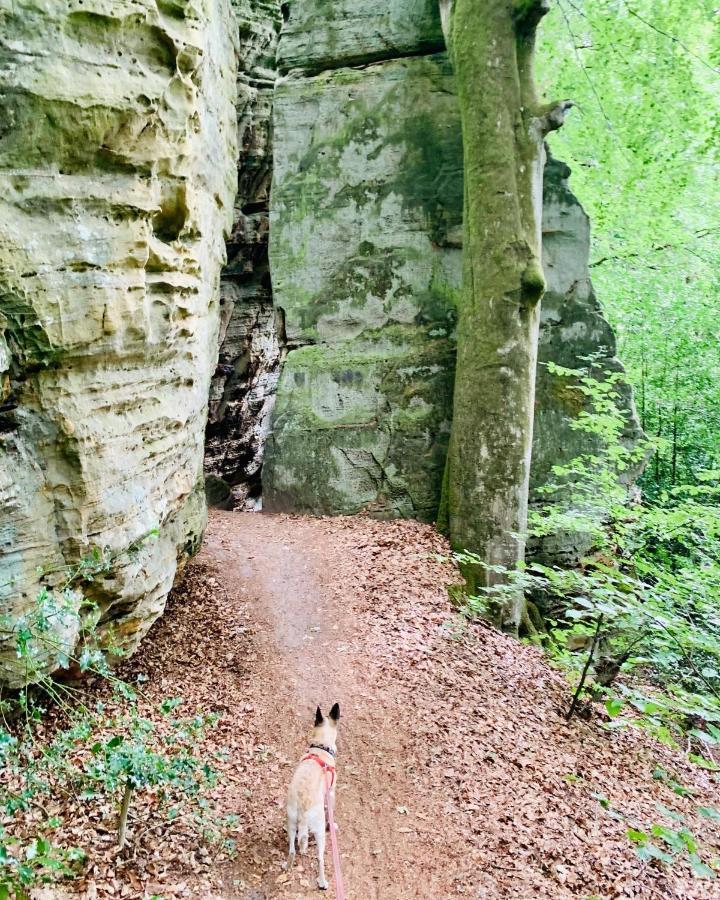 Tailor'S Trail Gite D'Adventure Beaufort Mullerthal Exterior photo